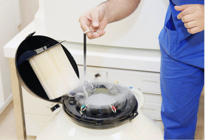 Egg Freezing Program